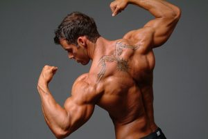 gain muscle